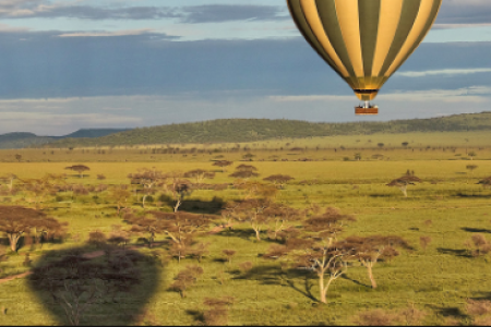 9 DAY TANZANIA SPECIAL LUXURY SAFARI TTA:WT103