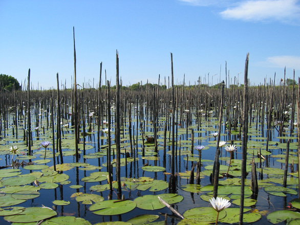 Botswana