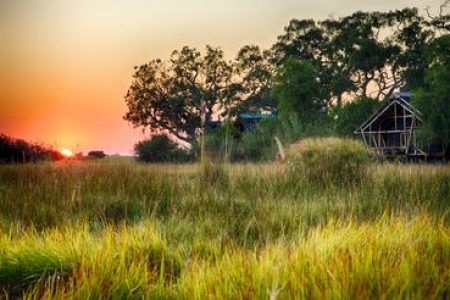 7-DAY DIVERSE BOTSWANA: KALAHARI, OKAVANGO & LINYANTI