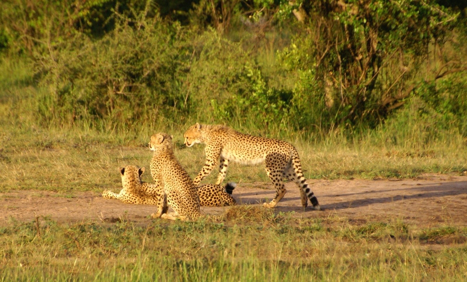 Kenya