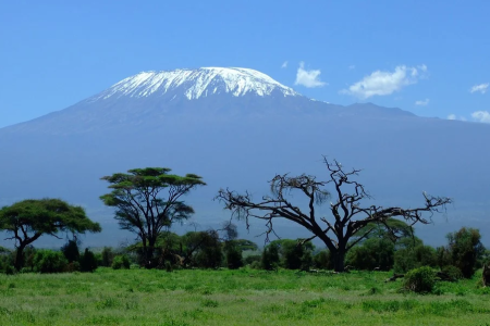 6 Days Kilimanjaro Climbing Rongai Route TAWT0036KR