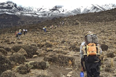 8 Days Kilimanjaro Climbing Lemosho Route