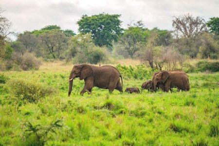 4 Days – Kidepo Valley View National Park